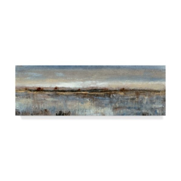 Trademark Fine Art Tim Otoole 'Grey Mist Ii' Canvas Art, 6x19 WAG03872-C619GG